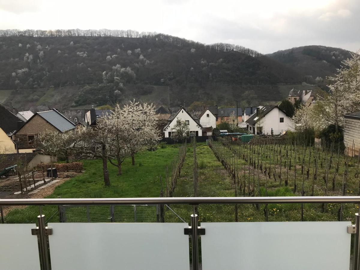 Ferienwohnung " Wein Unter Palmen " Neumagen-Dhron Exterior foto
